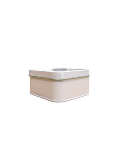 Metal soap case