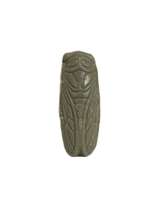 Decorative cicada soap 2